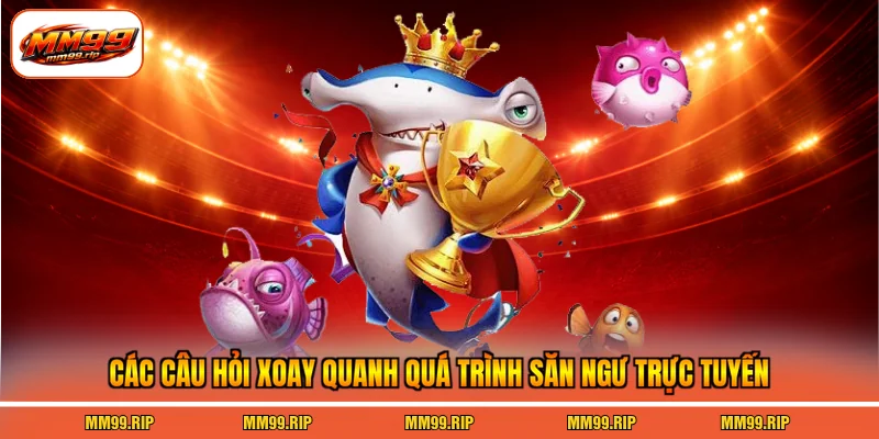 Các câu hỏi xoay quanh quá trình săn ngư trực tuyến