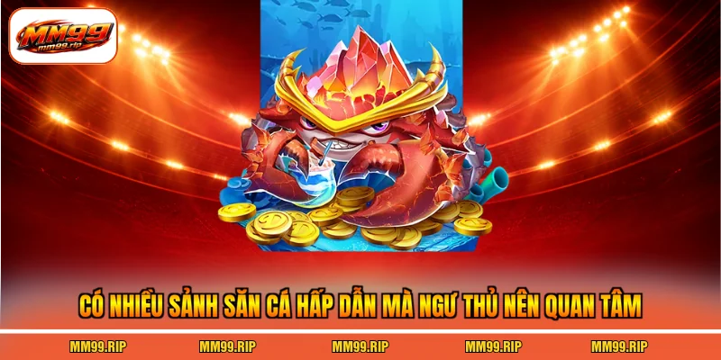 Có nhiều sảnh săn cá hấp dẫn mà ngư thủ nên quan tâm