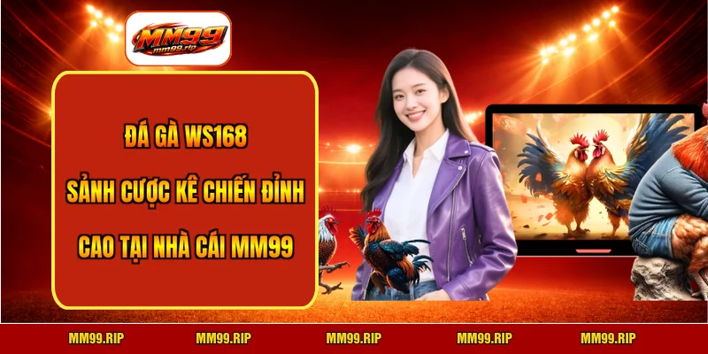 Đá Gà WS168 - Sảnh Cược Kê Chiến Đỉnh Cao Tại Nhà Cái MM99