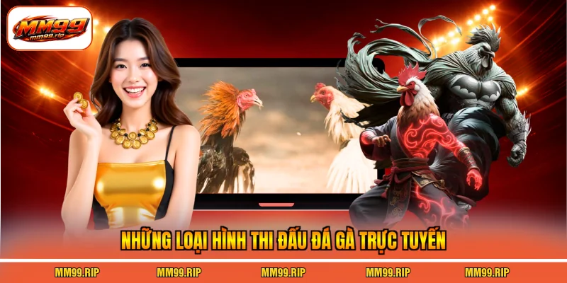 Những loại hình thi đấu đá gà trực tuyến